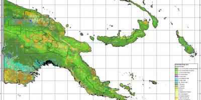 Kart av papua ny-guinea klima